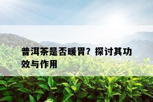 普洱茶是否暖胃？探讨其功效与作用