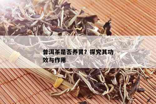 普洱茶是否养胃？探究其功效与作用