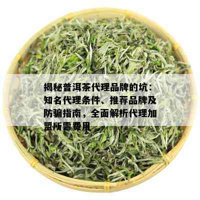 揭秘普洱茶代理品牌的坑：知名代理条件、推荐品牌及防骗指南，全面解析代理加盟所需费用