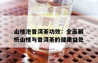 山楂泡普洱茶功效：全面解析山楂与普洱茶的健康益处