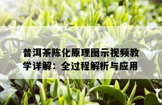 普洱茶陈化原理图示视频教学详解：全过程解析与应用