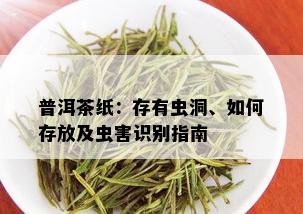 普洱茶纸：存有虫洞、如何存放及虫害识别指南