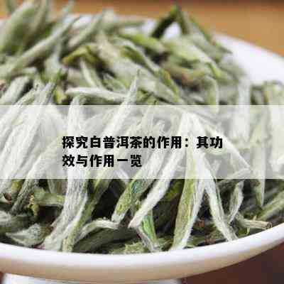 探究白普洱茶的作用：其功效与作用一览