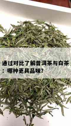 通过对比了解普洱茶与白茶：哪种更具品味？