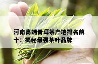 河南高端普洱茶产地排名前十：揭秘最强茶叶品牌