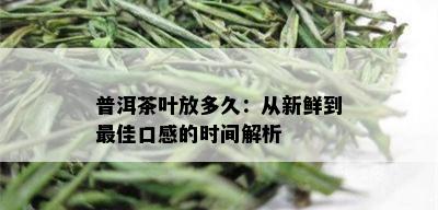 普洱茶叶放多久：从新鲜到更佳口感的时间解析