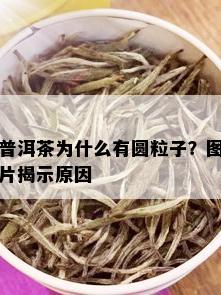 普洱茶为什么有圆粒子？图片揭示原因