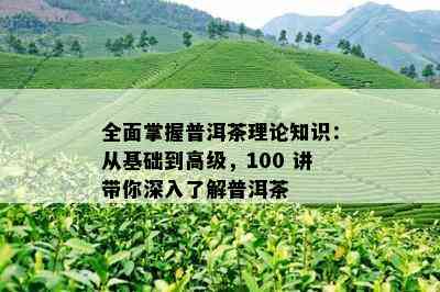 全面掌握普洱茶理论知识：从基础到高级，100 讲带你深入了解普洱茶