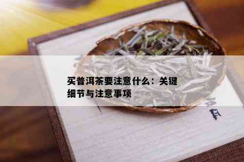 买普洱茶要注意什么：关键细节与注意事项