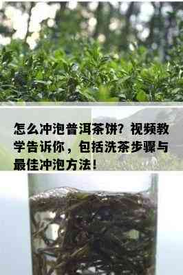 怎么冲泡普洱茶饼？视频教学告诉你，包括洗茶步骤与更佳冲泡方法！