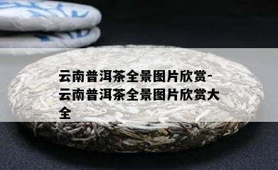 云南普洱茶全景图片欣赏-云南普洱茶全景图片欣赏大全