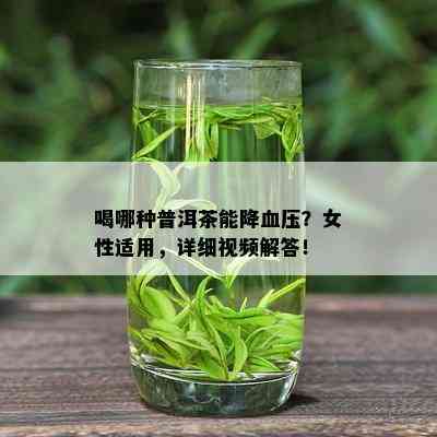 喝哪种普洱茶能降血压？女性适用，详细视频解答！