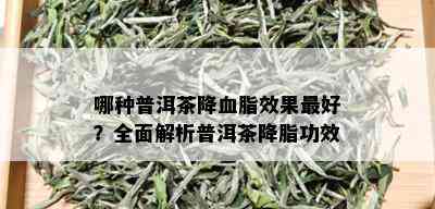 哪种普洱茶降血脂效果更好？全面解析普洱茶降脂功效