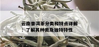 云南普洱茶分类和特点详解：了解其种类及独特特性