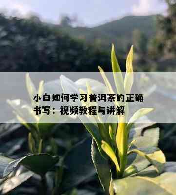 小白如何学习普洱茶的正确书写：视频教程与讲解