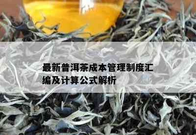 最新普洱茶成本管理制度汇编及计算公式解析