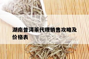 湖南普洱茶代理销售攻略及价格表