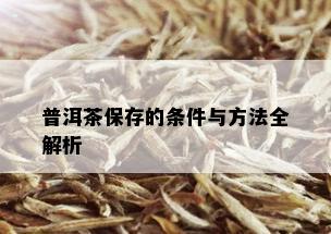 普洱茶保存的条件与方法全解析