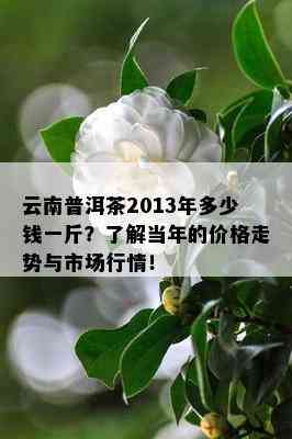 云南普洱茶2013年多少钱一斤？了解当年的价格走势与市场行情！