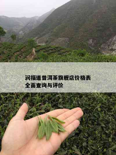 润福道普洱茶旗舰店价格表全面查询与评价