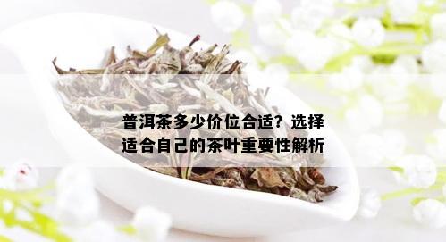 普洱茶多少价位合适？选择适合自己的茶叶重要性解析