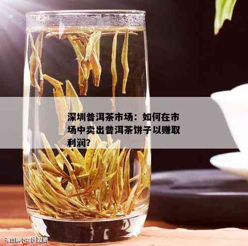 深圳普洱茶市场：如何在市场中卖出普洱茶饼子以赚取利润？