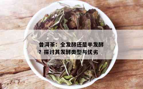 普洱茶：全发酵还是半发酵？探讨其发酵类型与优劣