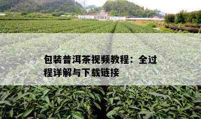 包装普洱茶视频教程：全过程详解与下载链接