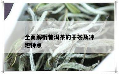 全面解析普洱茶的干茶及冲泡特点