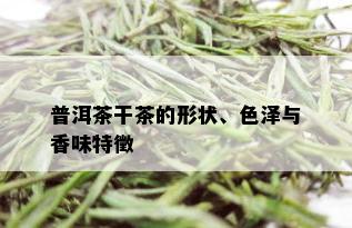 普洱茶干茶的形状、色泽与香味特徵