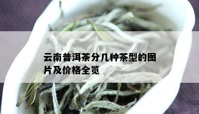 云南普洱茶分几种茶型的图片及价格全览