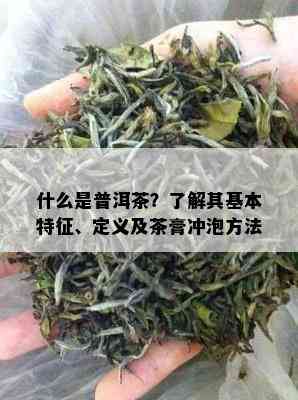 什么是普洱茶？了解其基本特征、定义及茶膏冲泡方法