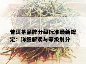 普洱茶品牌分级标准最新规定：详细解读与等级划分