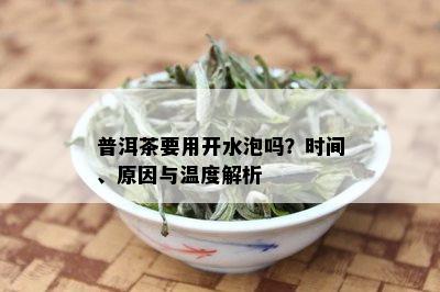 普洱茶要用开水泡吗？时间、原因与温度解析