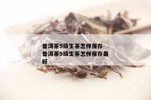 普洱茶9级生茶怎样保存-普洱茶9级生茶怎样保存更好