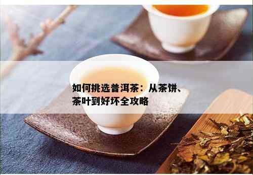 如何挑选普洱茶：从茶饼、茶叶到好坏全攻略