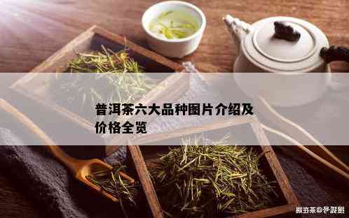 普洱茶六大品种图片介绍及价格全览