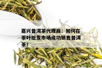 嘉兴普洱茶代理商：如何在茶叶批发市场成功销售普洱茶？