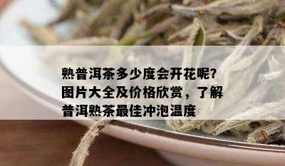 熟普洱茶多少度会开花呢？图片大全及价格欣赏，了解普洱熟茶更佳冲泡温度