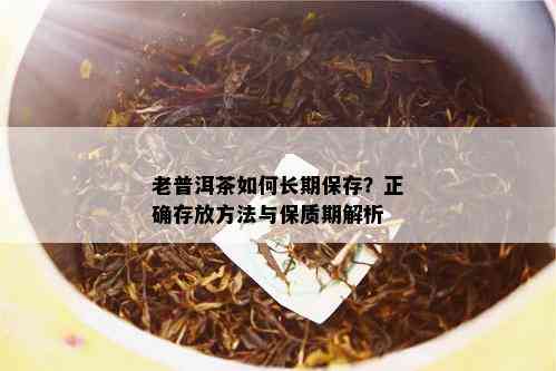 老普洱茶如何长期保存？正确存放方法与保质期解析