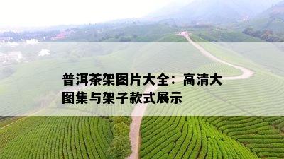 普洱茶架图片大全：高清大图集与架子款式展示