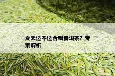 夏天适不适合喝普洱茶？专家解析