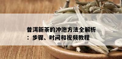 普洱新茶的冲泡方法全解析：步骤、时间和视频教程