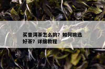 买普洱茶怎么挑？如何挑选好茶？详细教程