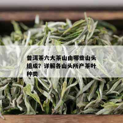 普洱茶六大茶山由哪些山头组成？详解各山头所产茶叶种类