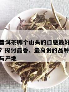 普洱茶哪个山头的口感更好？探讨最香、更高贵的品种与产地