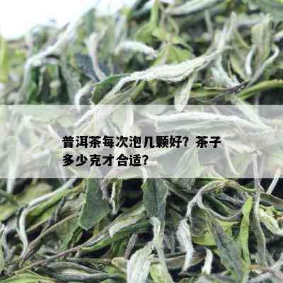 普洱茶每次泡几颗好？茶子多少克才合适？