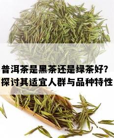 普洱茶是黑茶还是绿茶好？探讨其适宜人群与品种特性