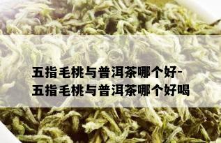 五指毛桃与普洱茶哪个好-五指毛桃与普洱茶哪个好喝