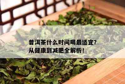 普洱茶什么时间喝最适宜？从健康到减肥全解析！